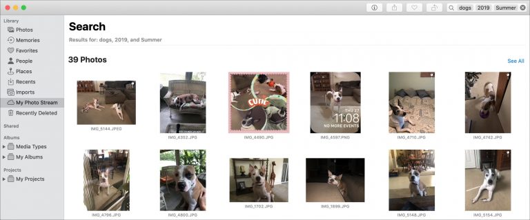 Как легко искать изображения и видео в Фото на Mac